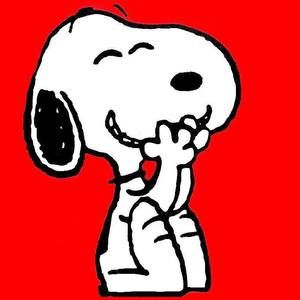 Meet your Posher, Mona